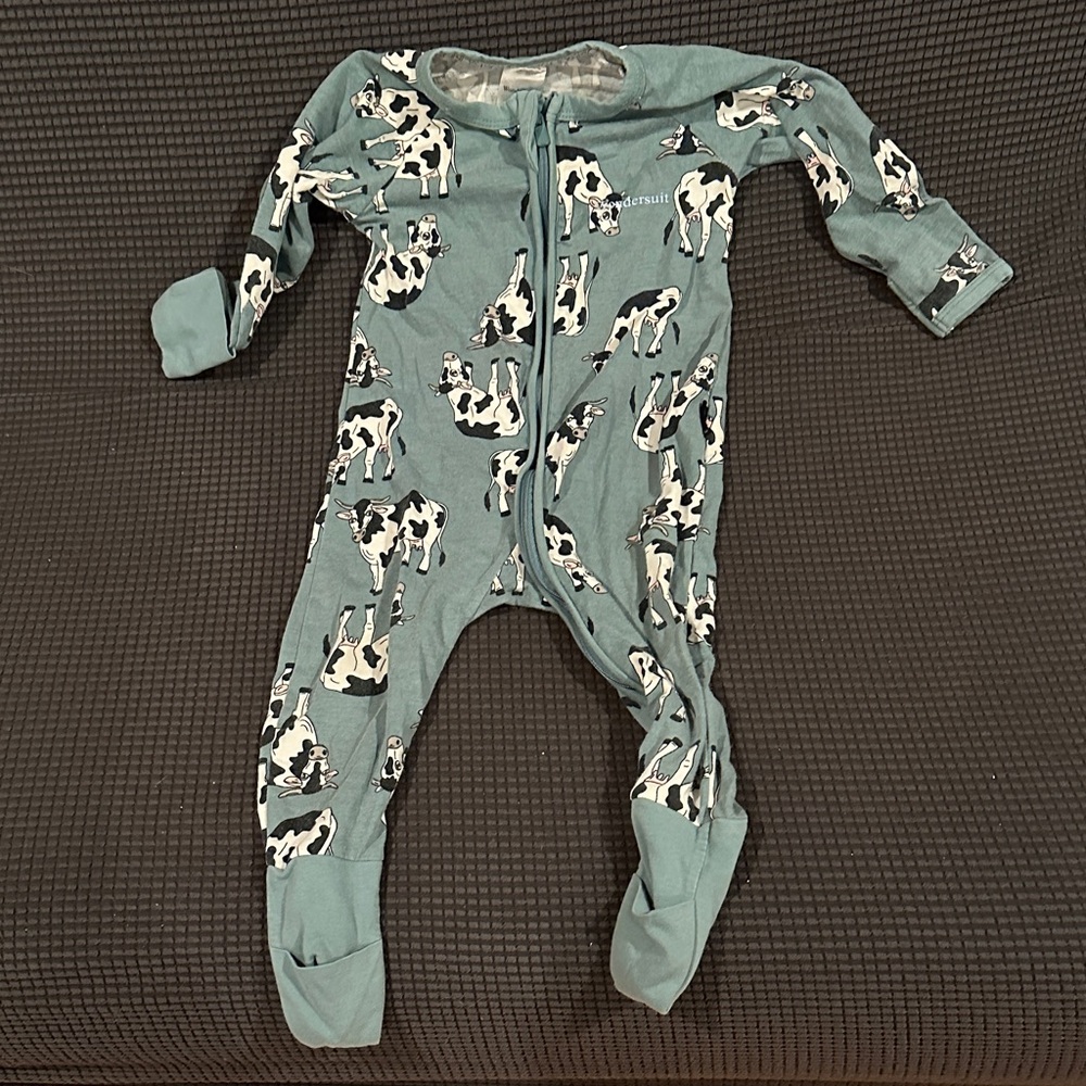 Bonds Wondersuit Teal Cow Print